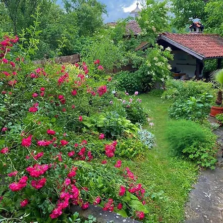 Casa de Férias любима